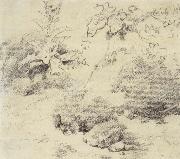 Thomas Gainsborough Study for a Foreground,a Bank with Weeds and Thistles oil painting artist